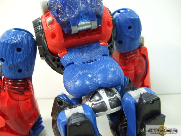 Year Of The Monkey Optimus Primal Out Of Box Show Platinum Edition Compared With Original  (33 of 50)